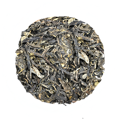 「HighTree 2024」TeaBag